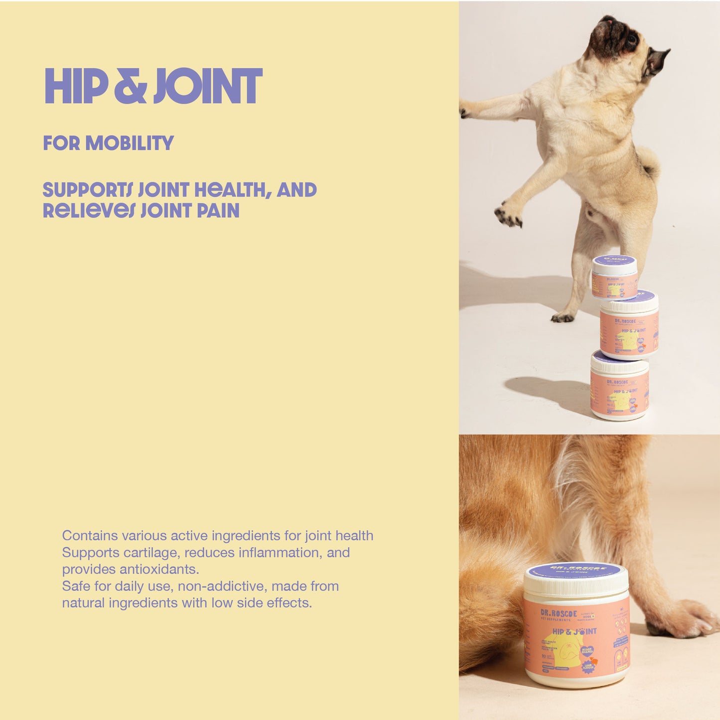 Hip and Joint